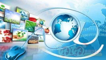 互联网技术驱动食品产业变革 信息时代的新篇章